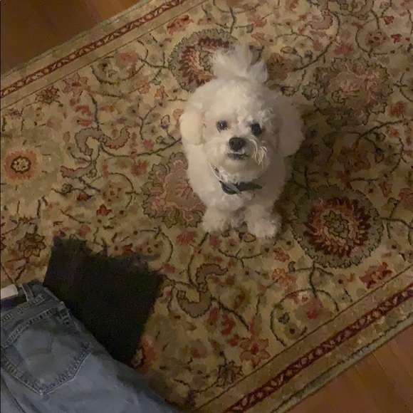 redone #4 - Picture 6 of 6